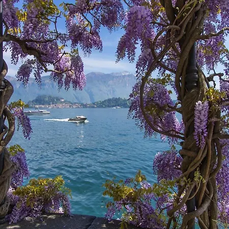 Apartament Tosca Menaggio